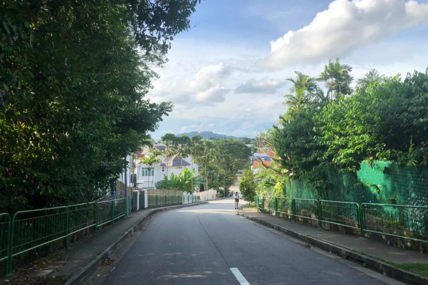 Coronation Road West, a quiet road lined with green railings and dense trees, runs towards white landed houses, with Bukit Timah Hill and its transmission towers on the horizon