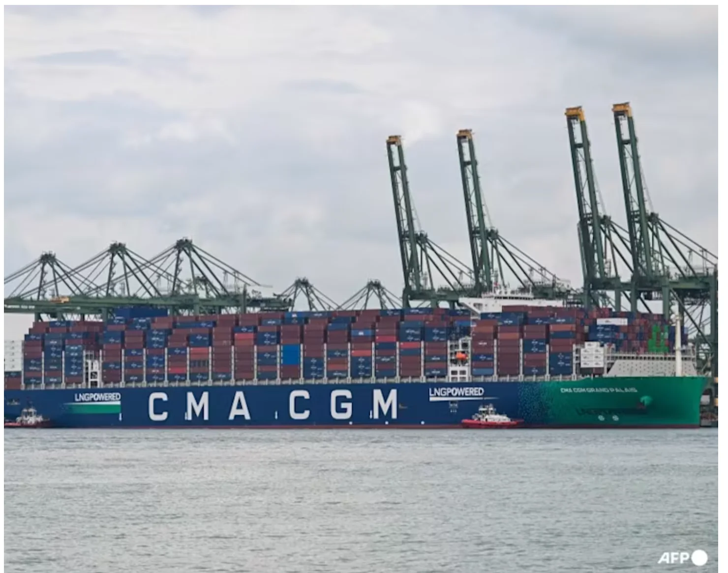 A CMA CGM container ship docked at Pasir Panjang terminal in Singapore, gantry cranes behind it